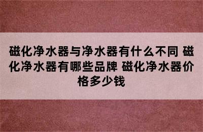 磁化净水器与净水器有什么不同 磁化净水器有哪些品牌 磁化净水器价格多少钱